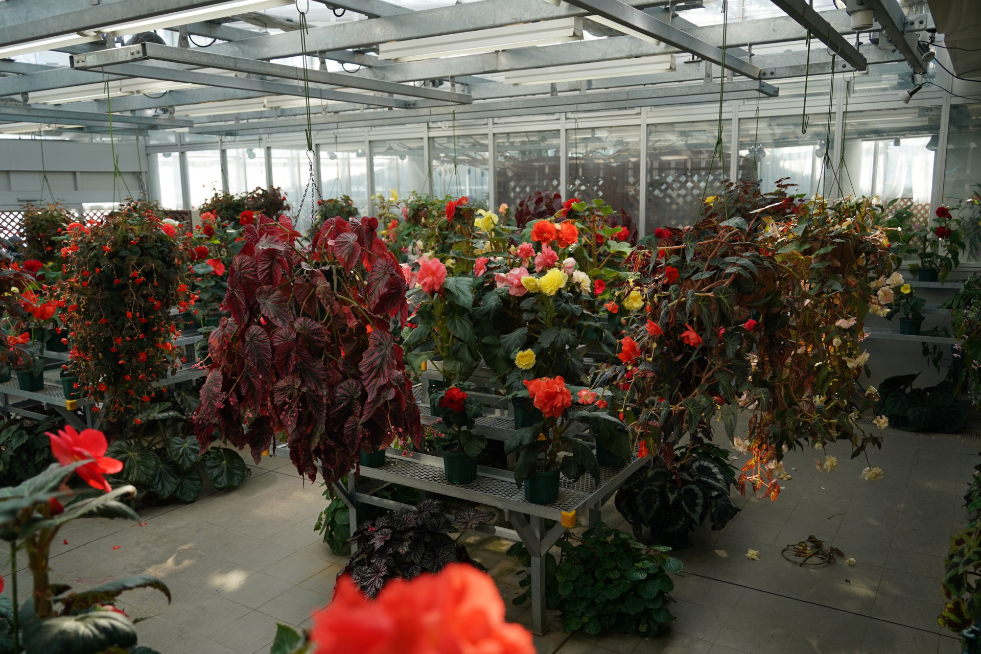 Image (3)